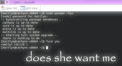 Does She Want Me Terminal Meme