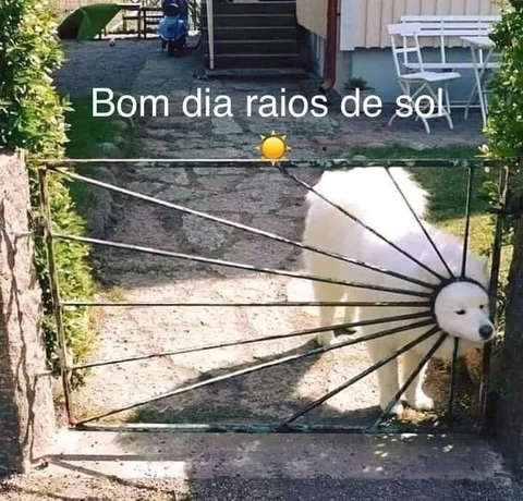 Bom dia raios de sol