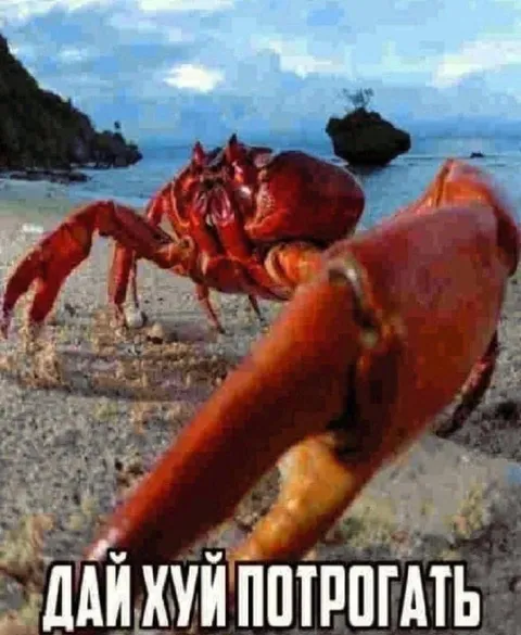 Дай хуй потрогать