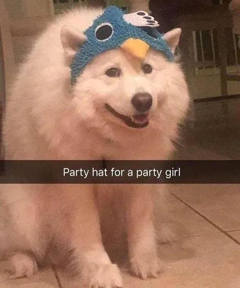 Party Hat for a Party Girl