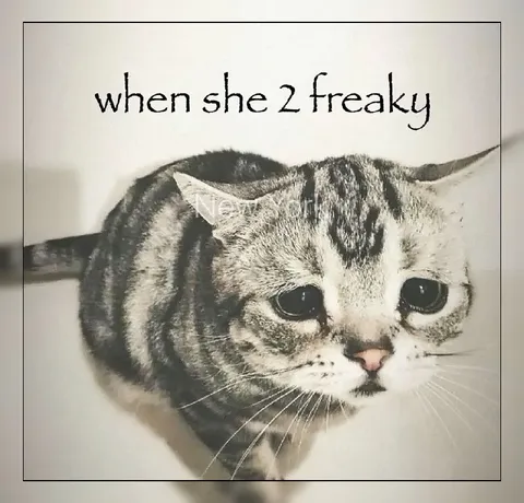 When She 2 Freaky
