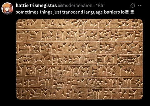 Transcending Language Barriers