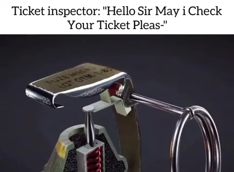 Ticket Inspector Checks the Ticket