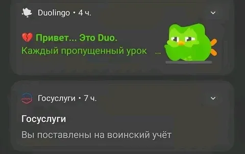 Пропустил урок Duolingo
