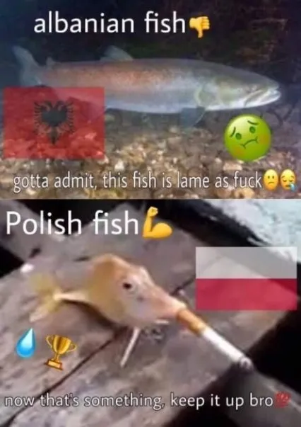 Albanian Fish vs Polish Fish
