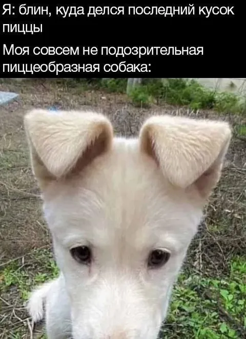 Последний кусок пиццы