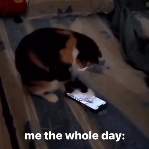 Me the Whole Day Scrolling