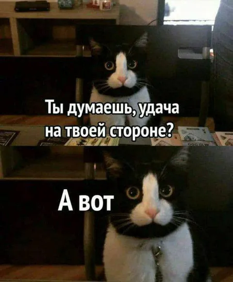 Удача не на твоей стороне