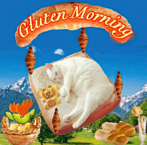 Gluten-Morrning Cat Breakfast
