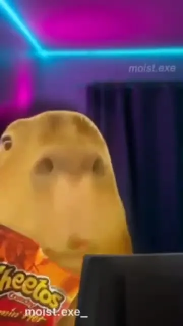 Potato Chip Stares at Monitor