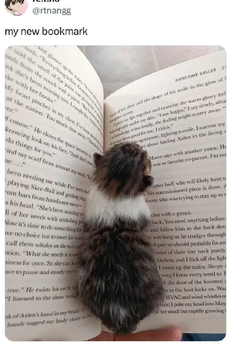 My New Bookmark