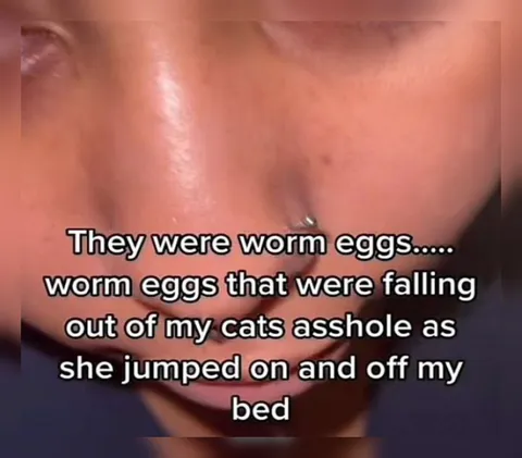 Worm Eggs Falling From Cat