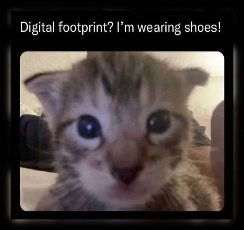 Digital Footprint Cat