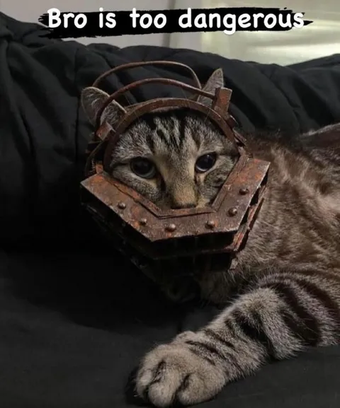 Dangerous Cat in Metal Muzzle