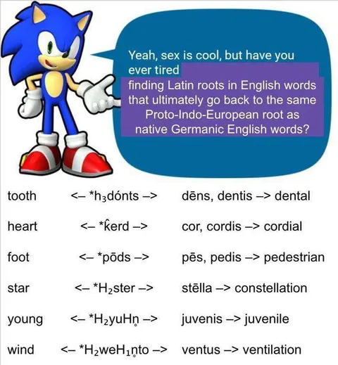 Sonic Explains Latin Roots