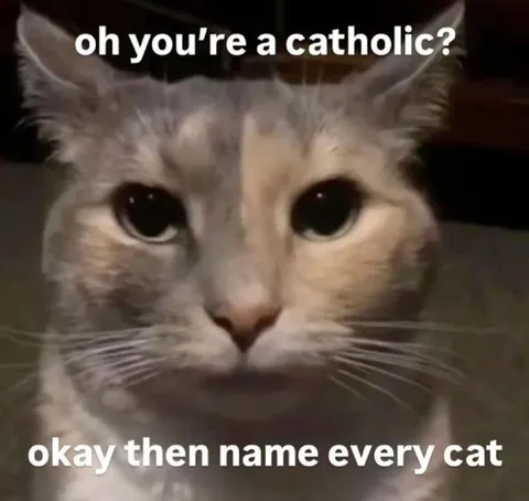 Name Every Cat