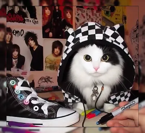Emo Cat With Checkerboard Hoodie