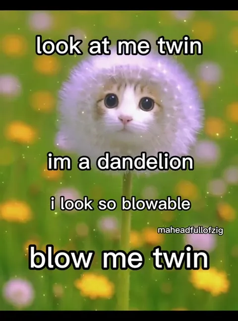 Blow Me Twin Dandelion Cat