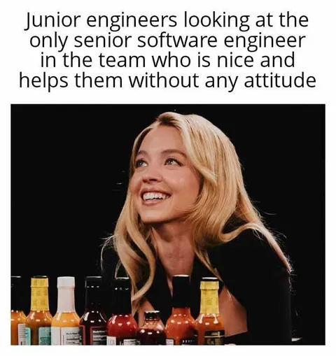 Nice Senior Software Engineer