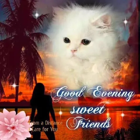 Good Evening Sweet Friends