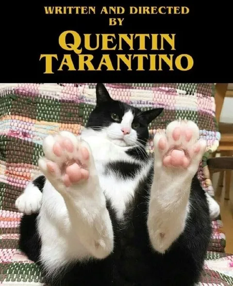 Quentin Tarantino Cat Feet