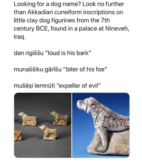Akkadian Dog Names