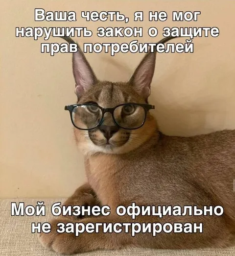 Кот и незарегистрированный бизнес