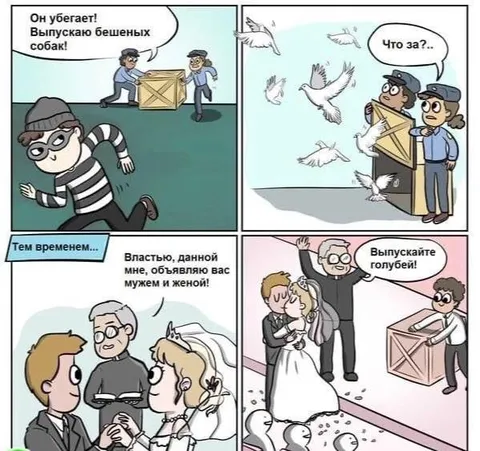 Бешеные собаки вместо голубей