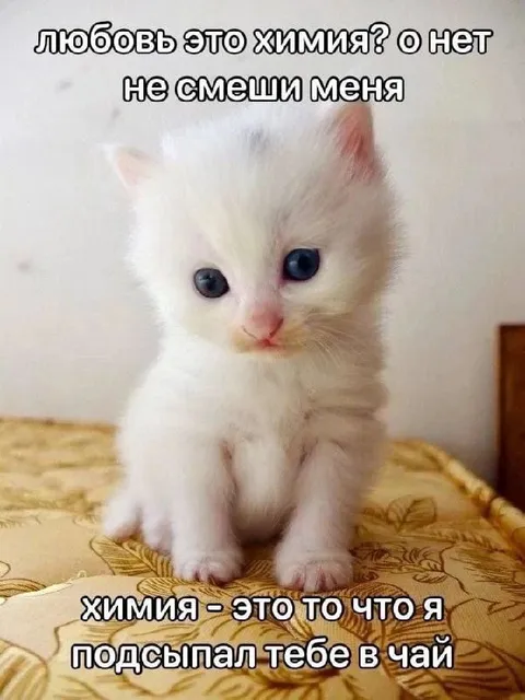Химия это то что я подсыпал
