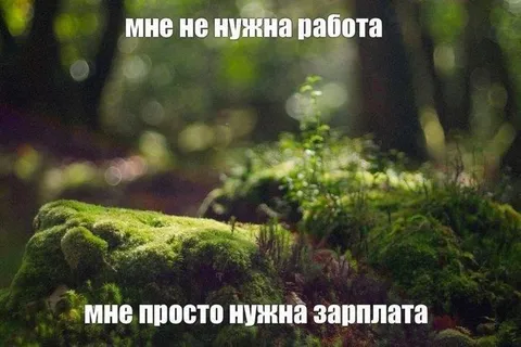 Мне не нужна работа, мне нужна зарплата