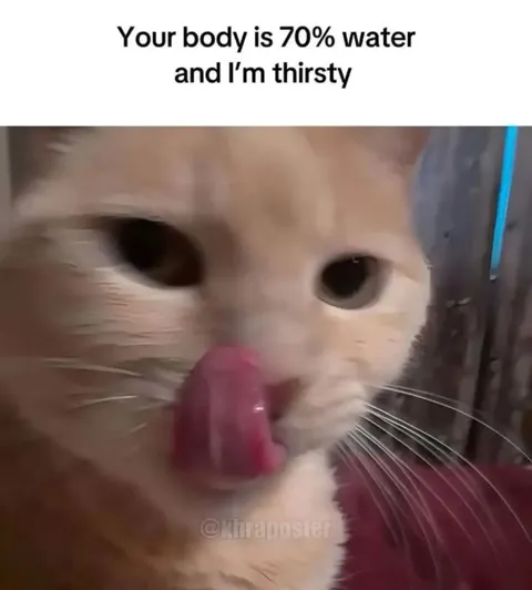 Thirsty Cat