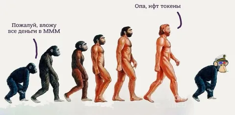 Эволюция до NFT токенов