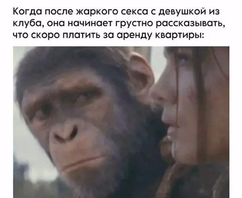 Когда девушка рассказывает про аренду