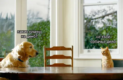Какие планы на день?