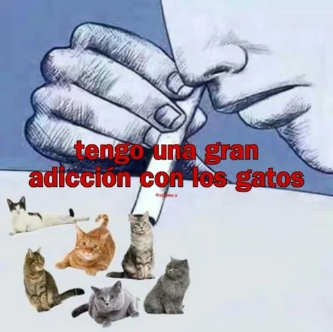 Adicción a los gatos