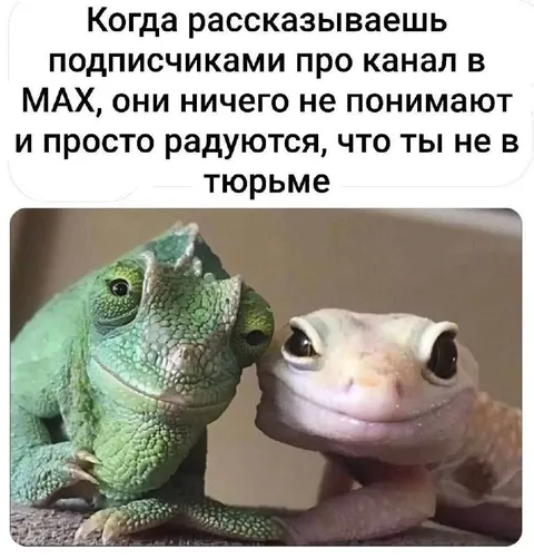 Радуются, что ты не в тюрьме