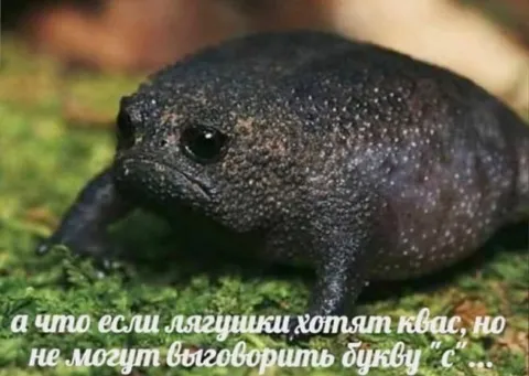 Лягушки хотят квас