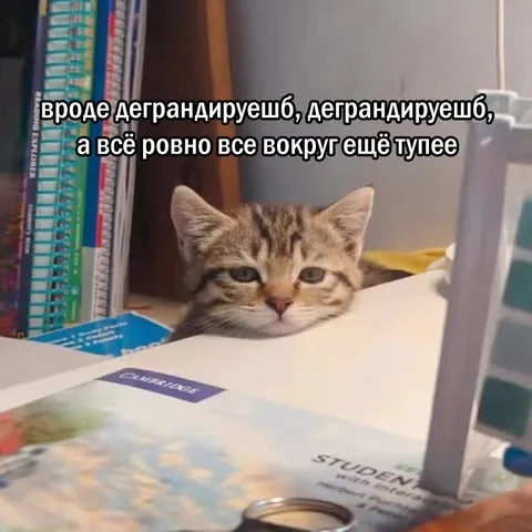 Детрандируешь, а все тупее