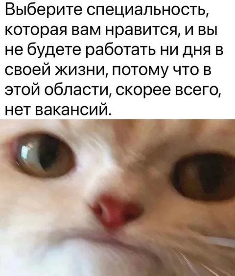 Специальность без вакансий