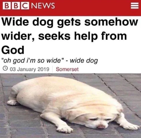 Wide Dog Seeks Help From God