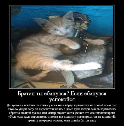 Братан, ты ебанулся?