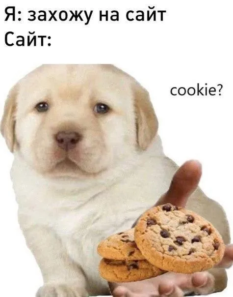Щенок предлагает печенье