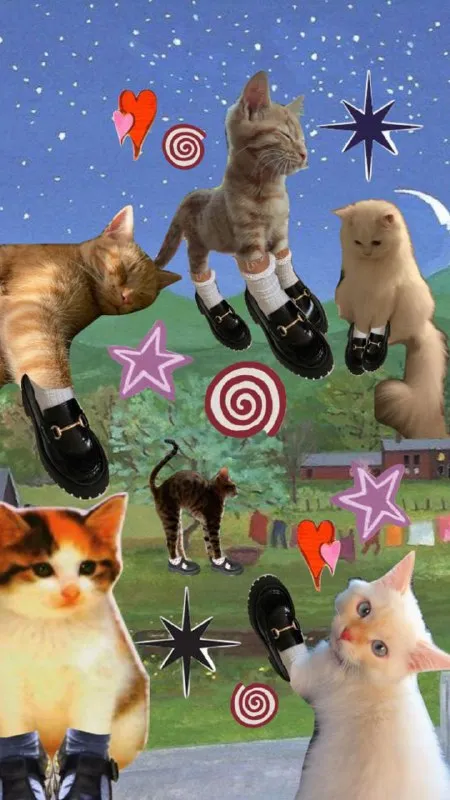 Коты в ботинках среди звёзд