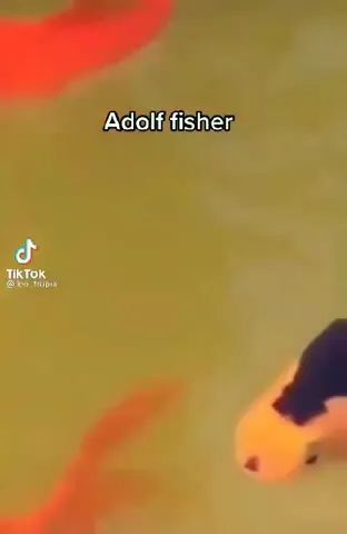 Adolf Fisher Approaches the Camera