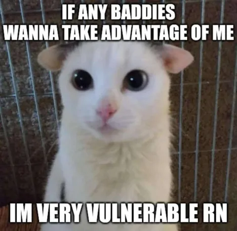 Vulnerable Cat Reaction