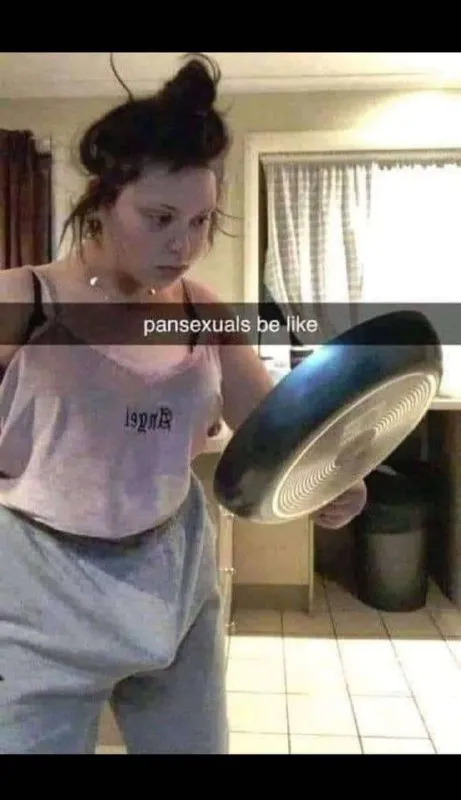 Pansexuals Be Like