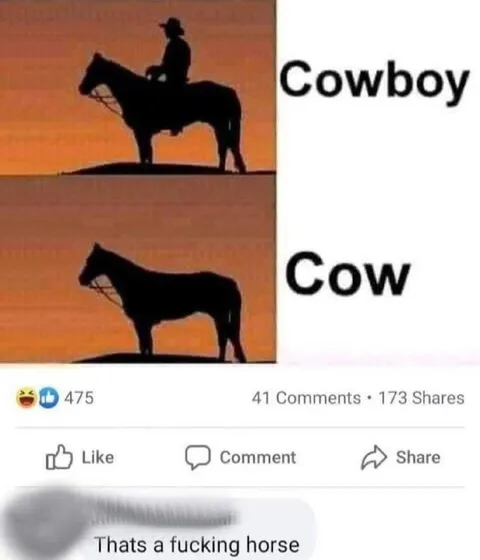 That's a Fucking Horse