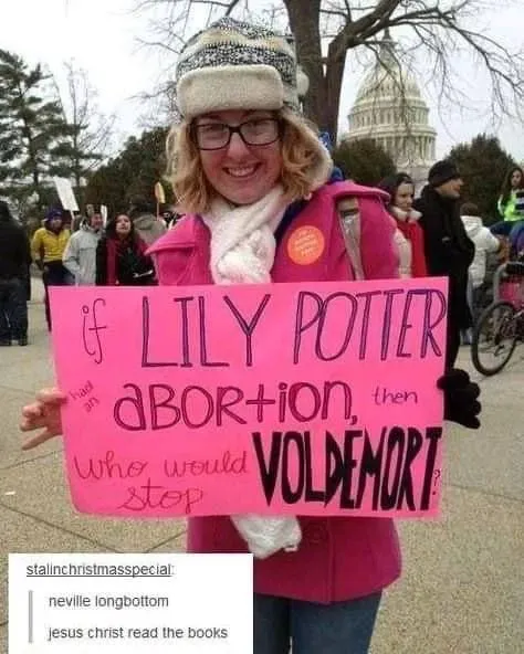 Lily Potter Abortion Paradox