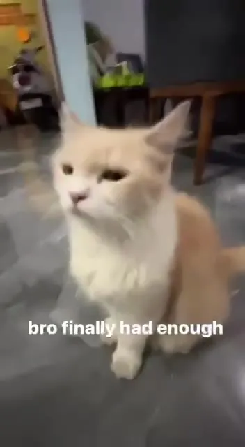 Bro Finally Had Enough