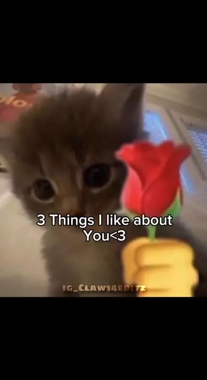 Three Things I Like About You
